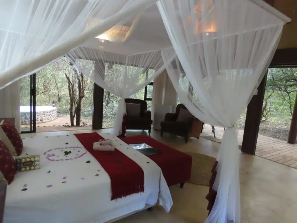 Glass‑walled forest suites