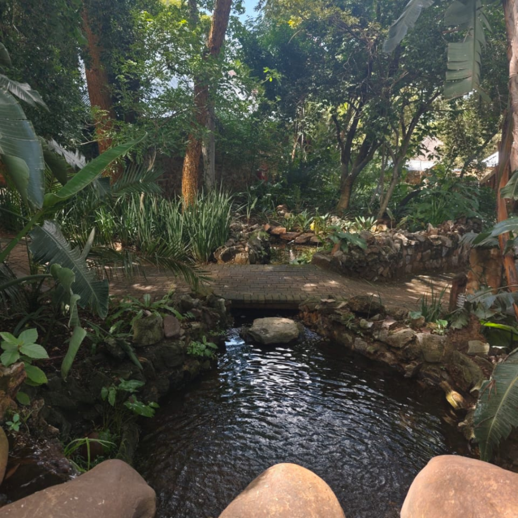 Untitled design (53)