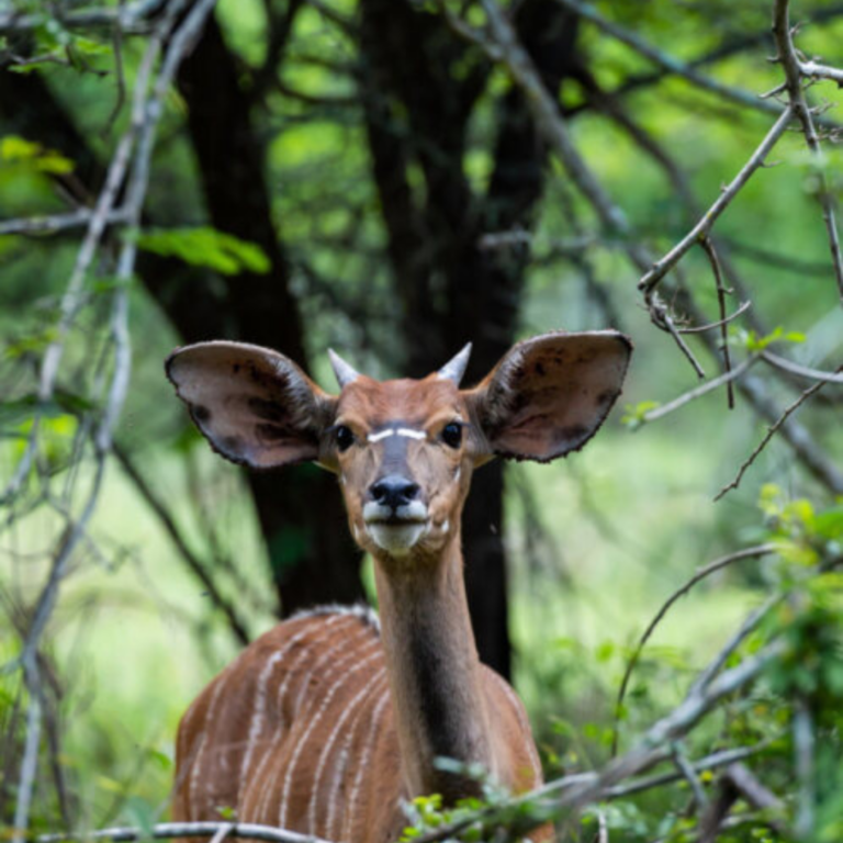 Untitled design (54)