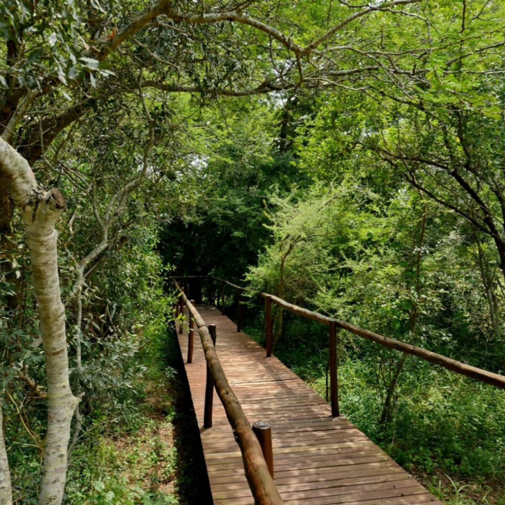 and the nights end under a sky full of stars.