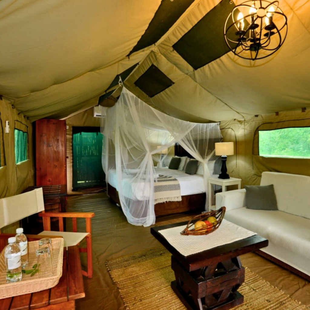 big game and low vehicle density