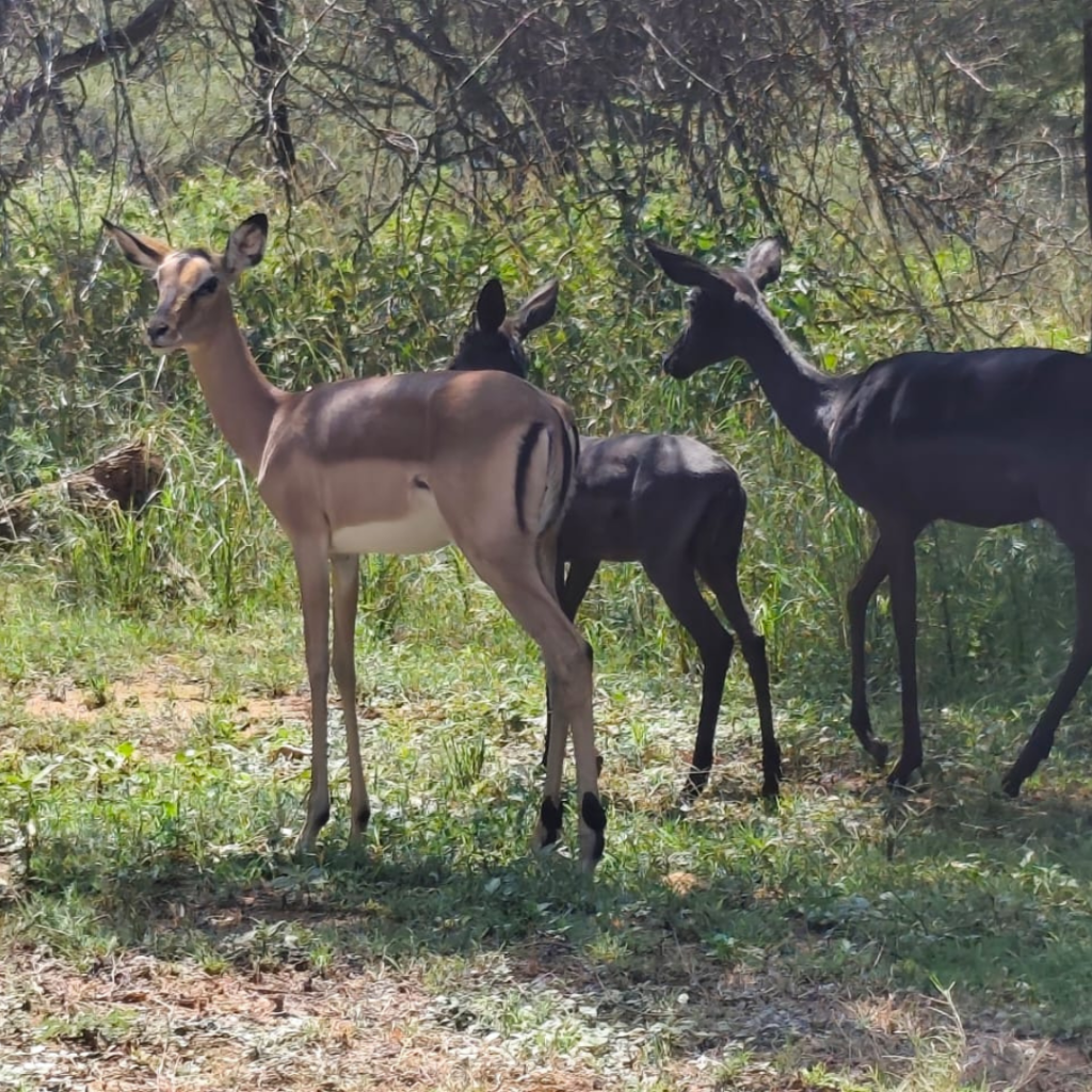 big skies and quiet evenings around the fire