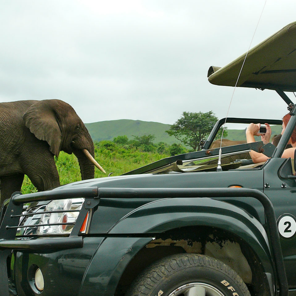 on KwaZulu‑Natal’s Elephant Coast