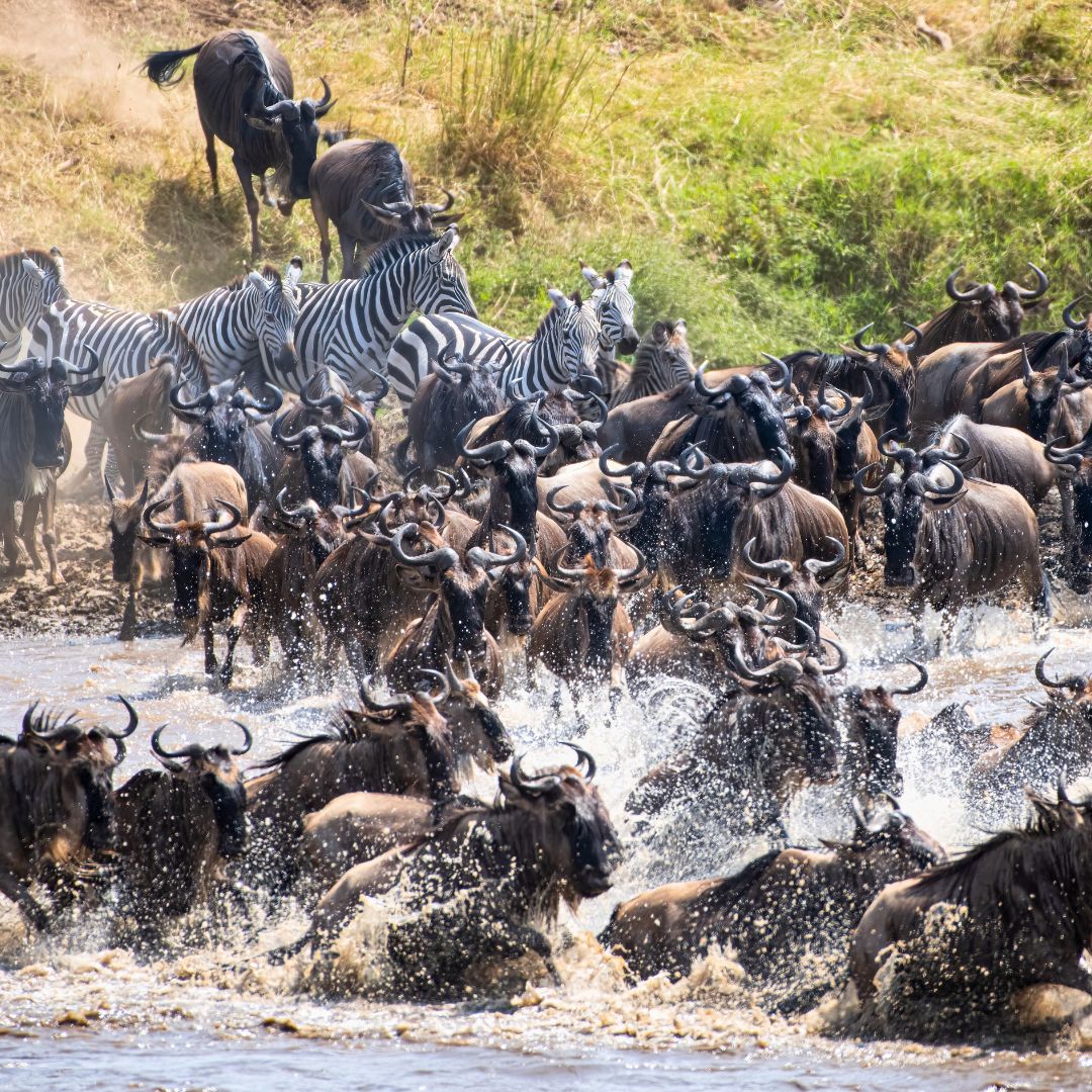 Tanzania